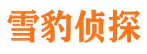 安福市侦探公司